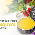 Natural Ingredients: The Secret Behind Our Effective Pain Relief Ointments